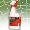 cobweb